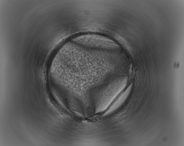 X0000090420680200708031107