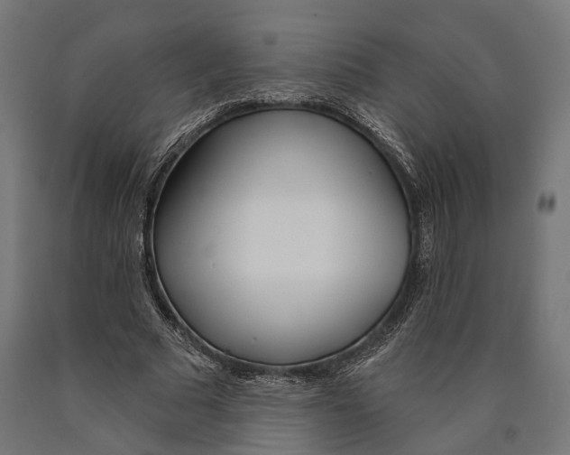 X0000090420681200708031107