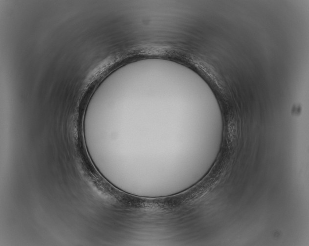 X0000090420682200708031107