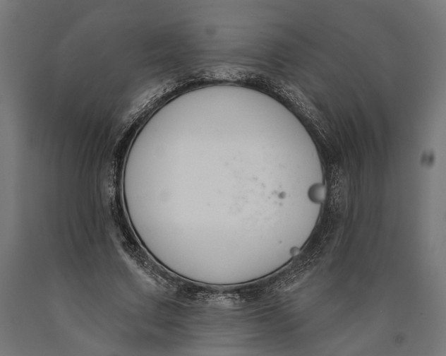 X0000090420683200708031107