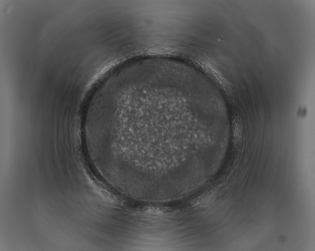 X0000090420684200708031107