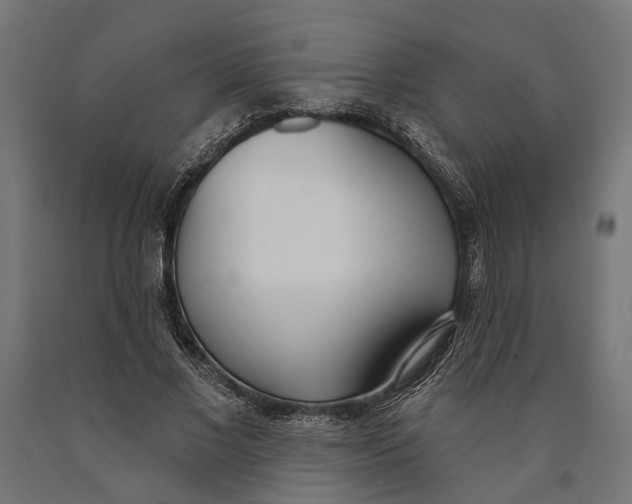 X0000090420685200708031107