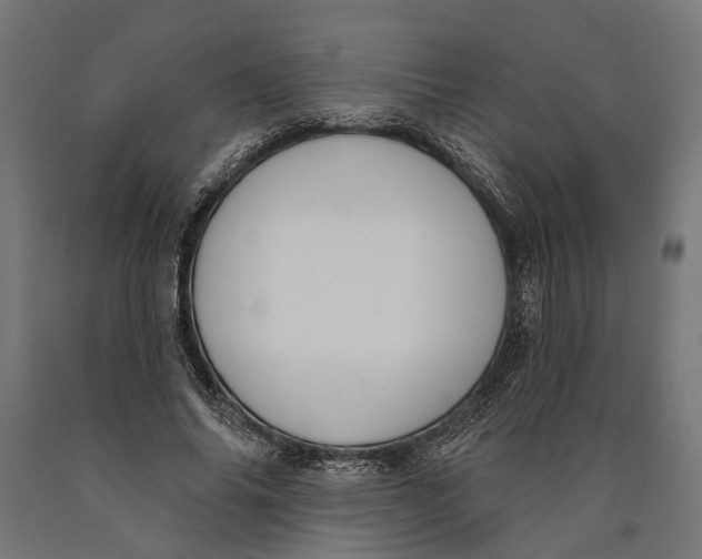 X0000090420686200708031107