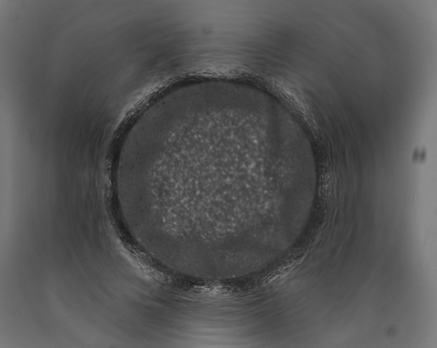 X0000090420688200708031107