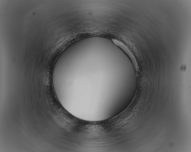 X0000090420689200708031107