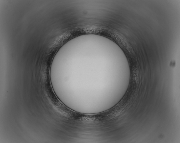 X0000090420690200708031107