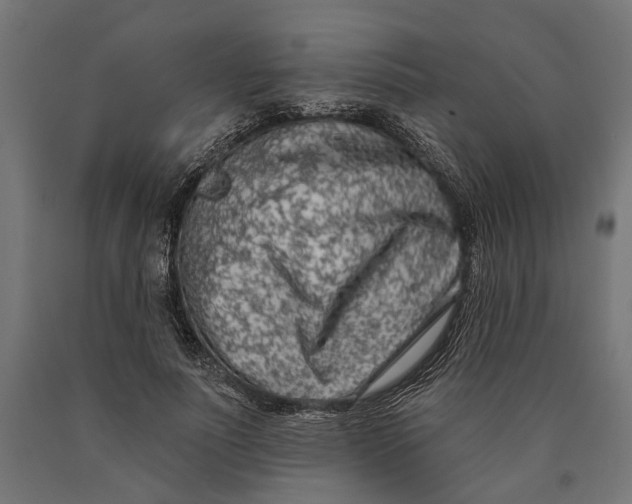 X0000090420691200708031107