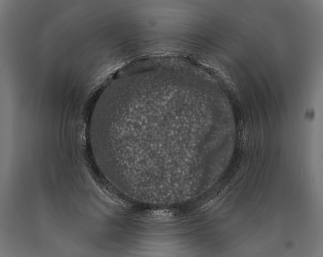 X0000090420692200708031107