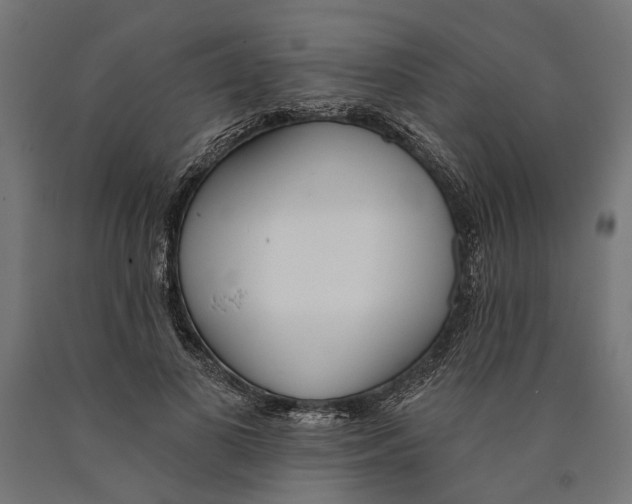 X0000090420693200708031107