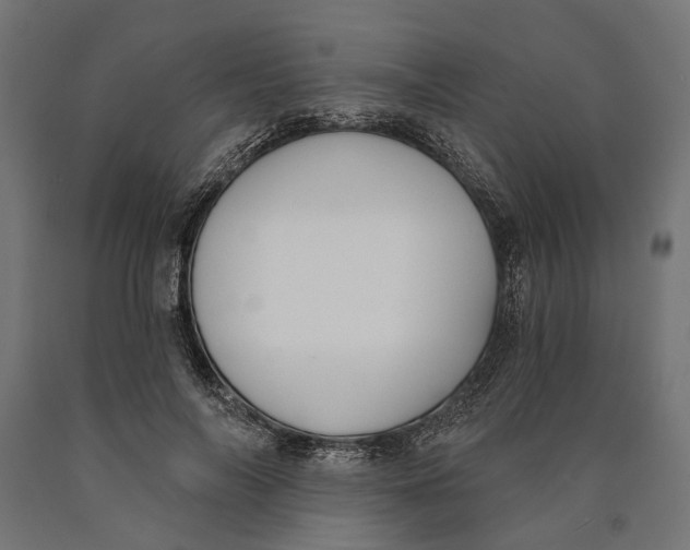 X0000090420694200708031107