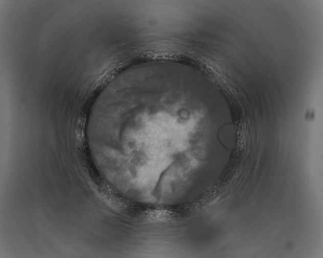 X0000090420695200708031106