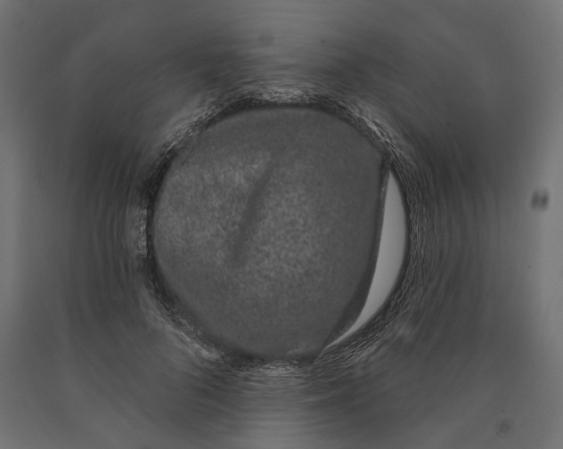 X0000090420696200708031106