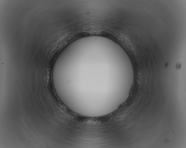 X0000090420697200708031106