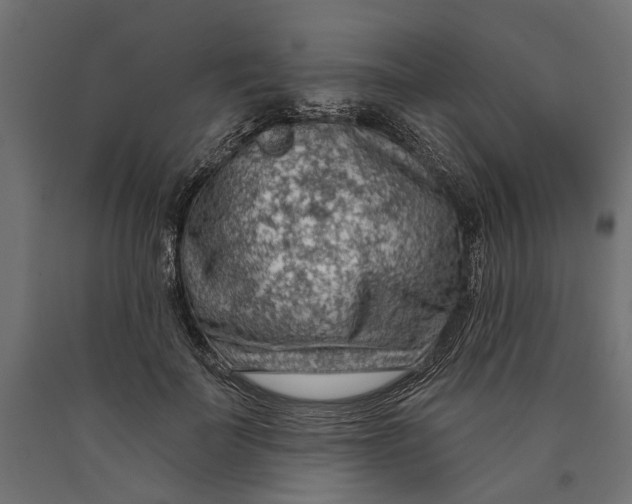 X0000090420699200708031106