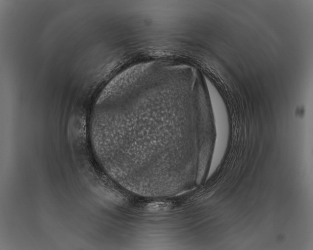 X0000090420700200708031106