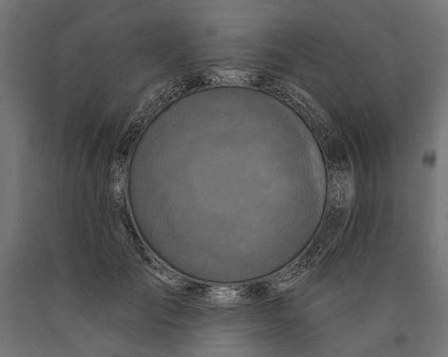 X0000090420701200708031106