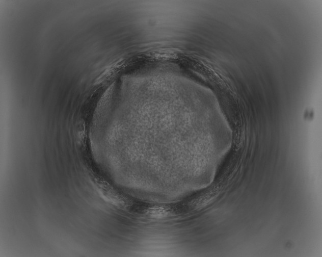 X0000090420704200708031106