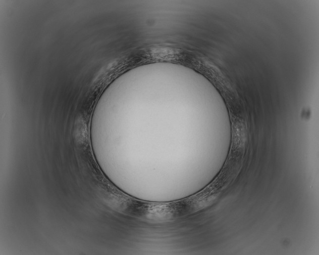 X0000090420705200708031106