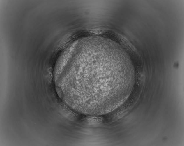 X0000090420707200708031106