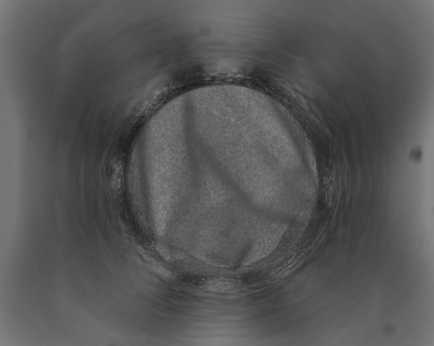 X0000090420708200708031106