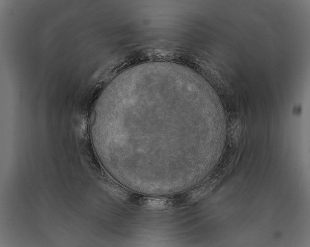 X0000090420709200708031106