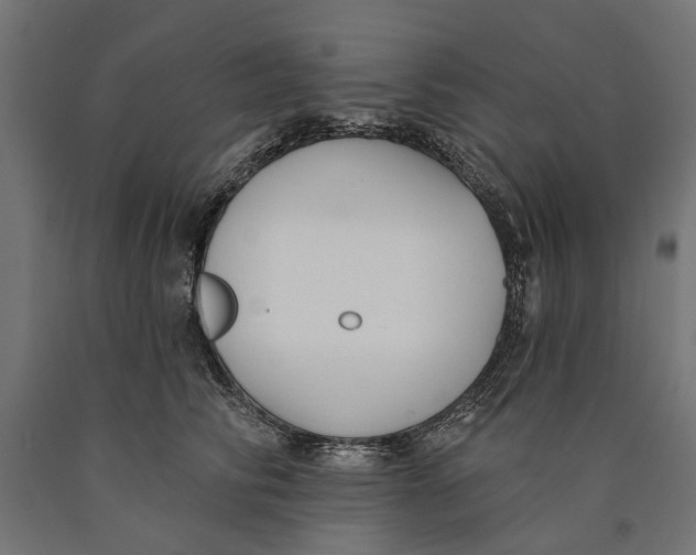 X0000090420710200708031106