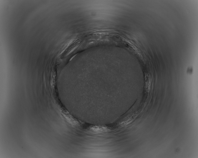 X0000090420712200708031106