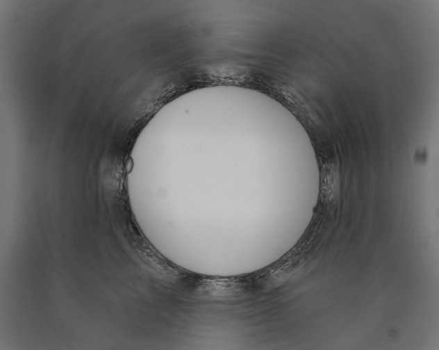 X0000090420713200708031106