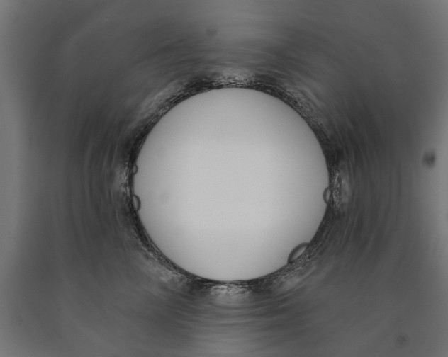 X0000090420714200708031106