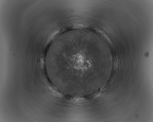 X0000090420716200708031106