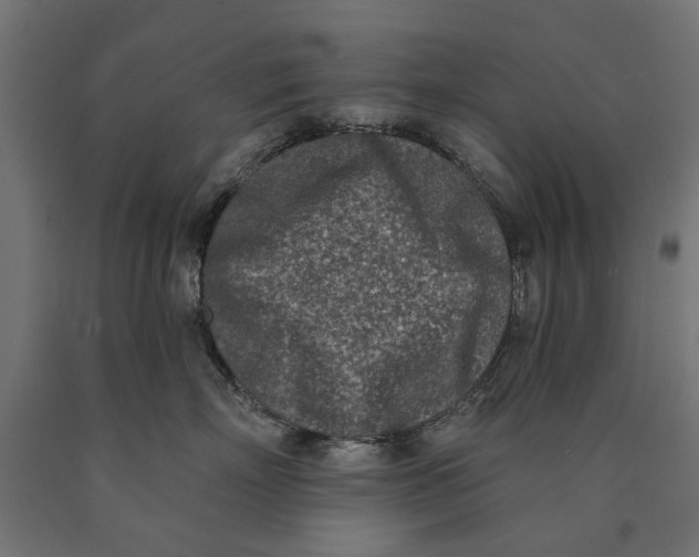 X0000090420718200708031106