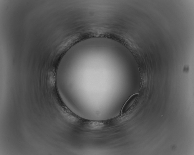 X0000090420719200708031106