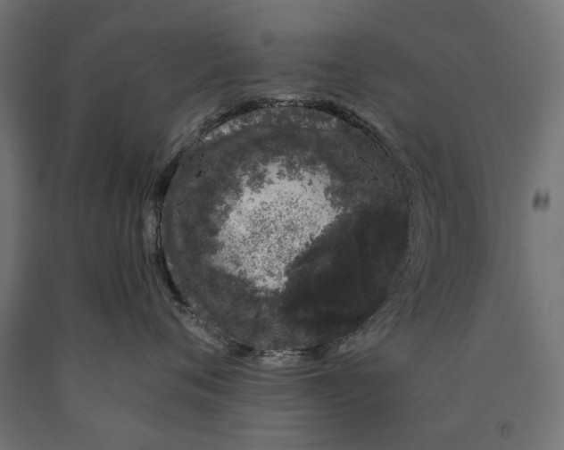 X0000090420720200708031106