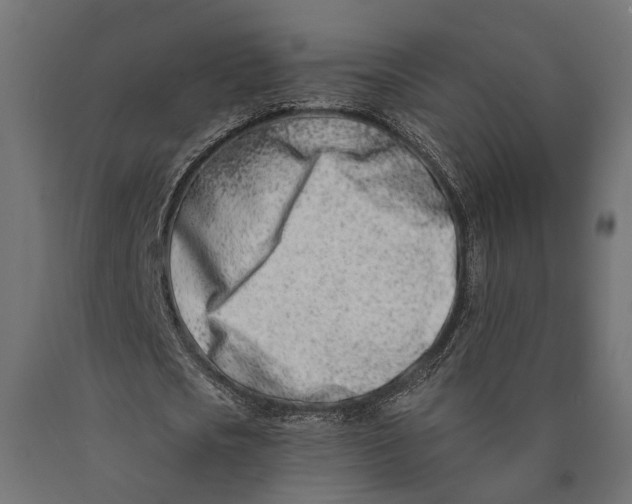 X0000090420721200708031105