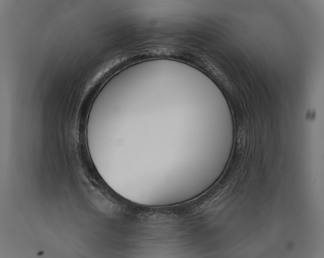 X0000090420722200708031105