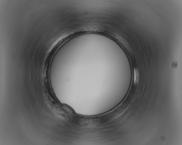 X0000090420723200708031105