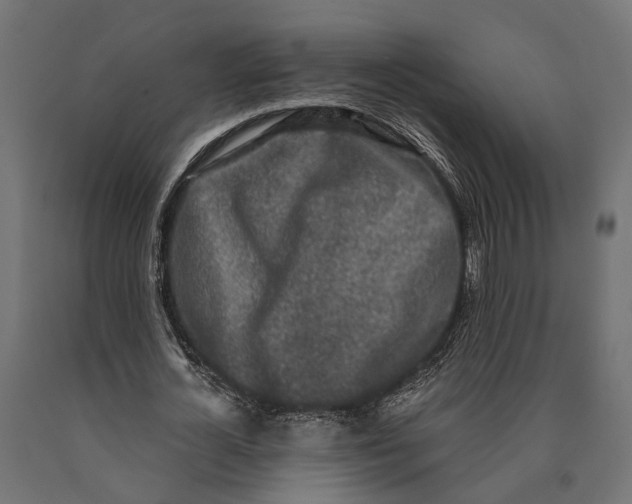 X0000090420724200708031105