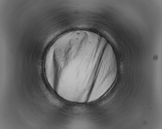 X0000090420725200708031106