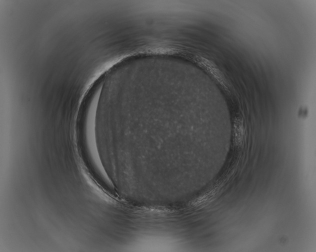 X0000090420726200708031106