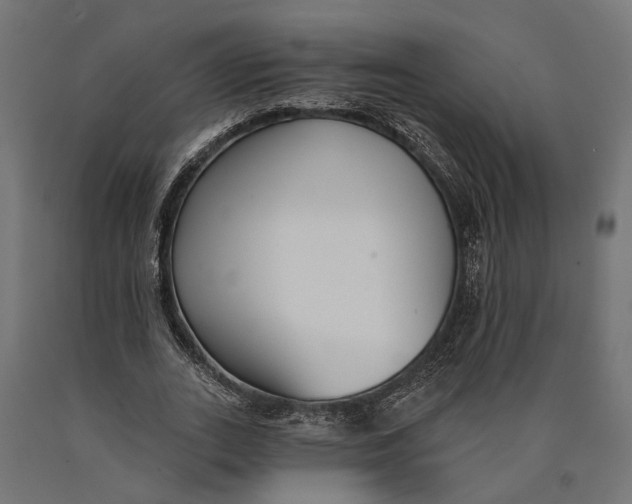 X0000090420727200708031106