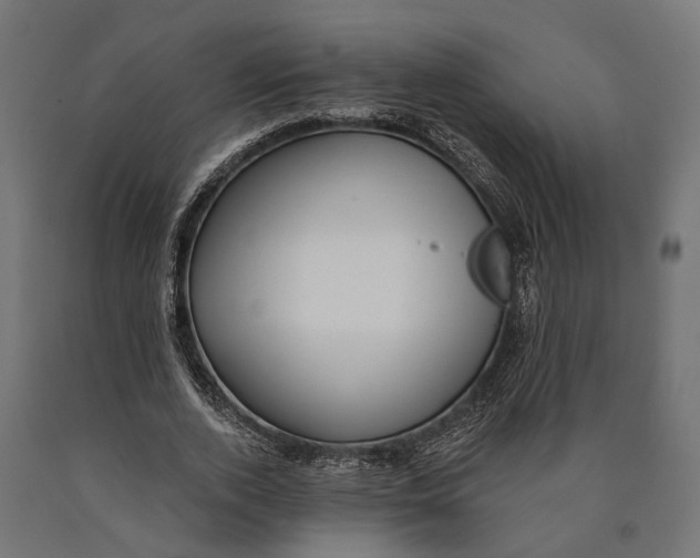 X0000090420728200708031106