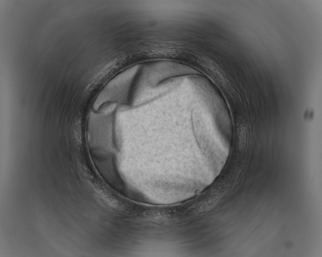 X0000090420729200708031106