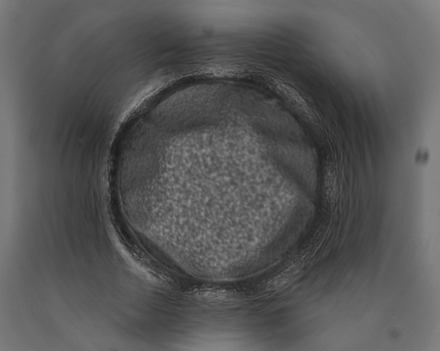 X0000090420730200708031106