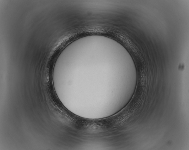 X0000090420731200708031106