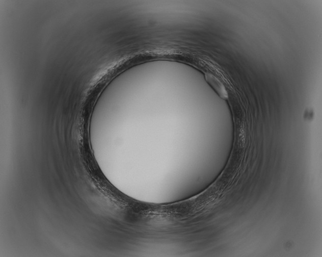 X0000090420732200708031106