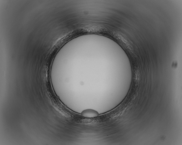 X0000090420733200708031106