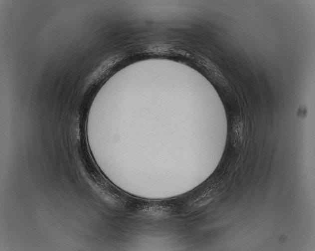 X0000090420734200708031106