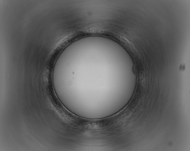 X0000090420735200708031106