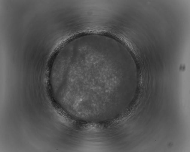 X0000090420736200708031106