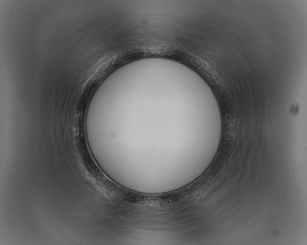 X0000090420738200708031106